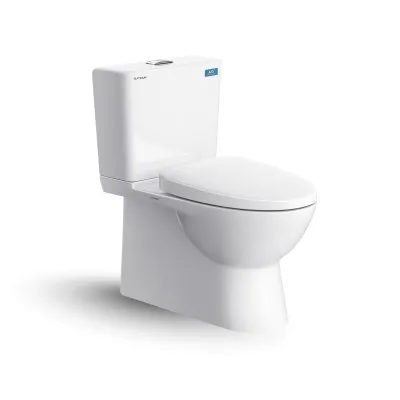 Bàn cầu hai khối Viglacera  P311