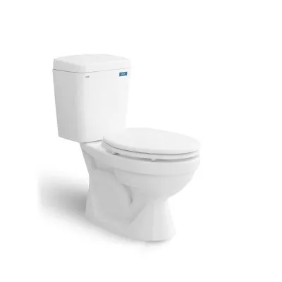 Bàn cầu hai khối Sanfi S201 Viglacera S201