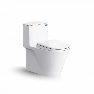 Bàn cầu một khối Viglacera V817